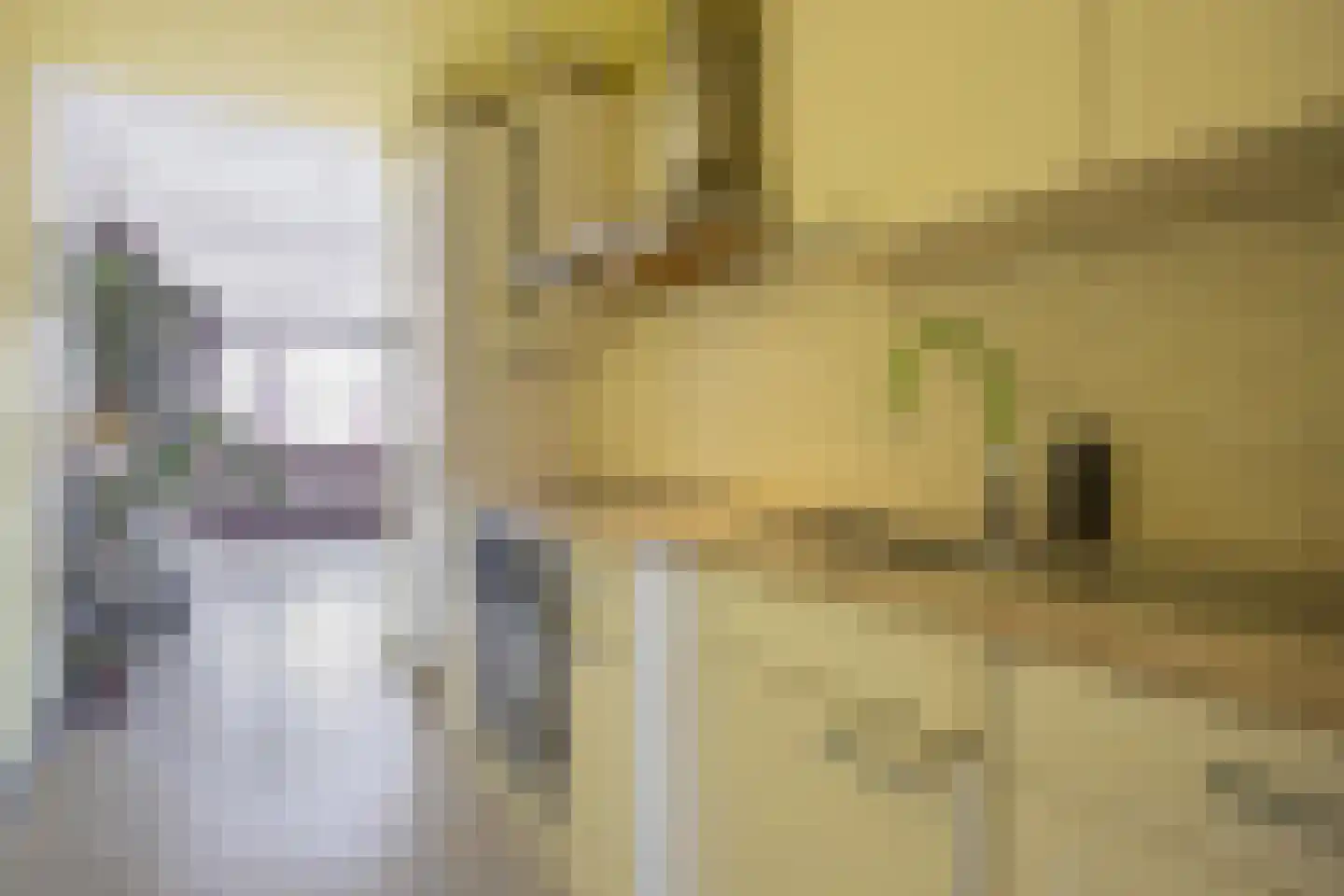 Da Costastraat 117 Rotterdam thumbnail 7