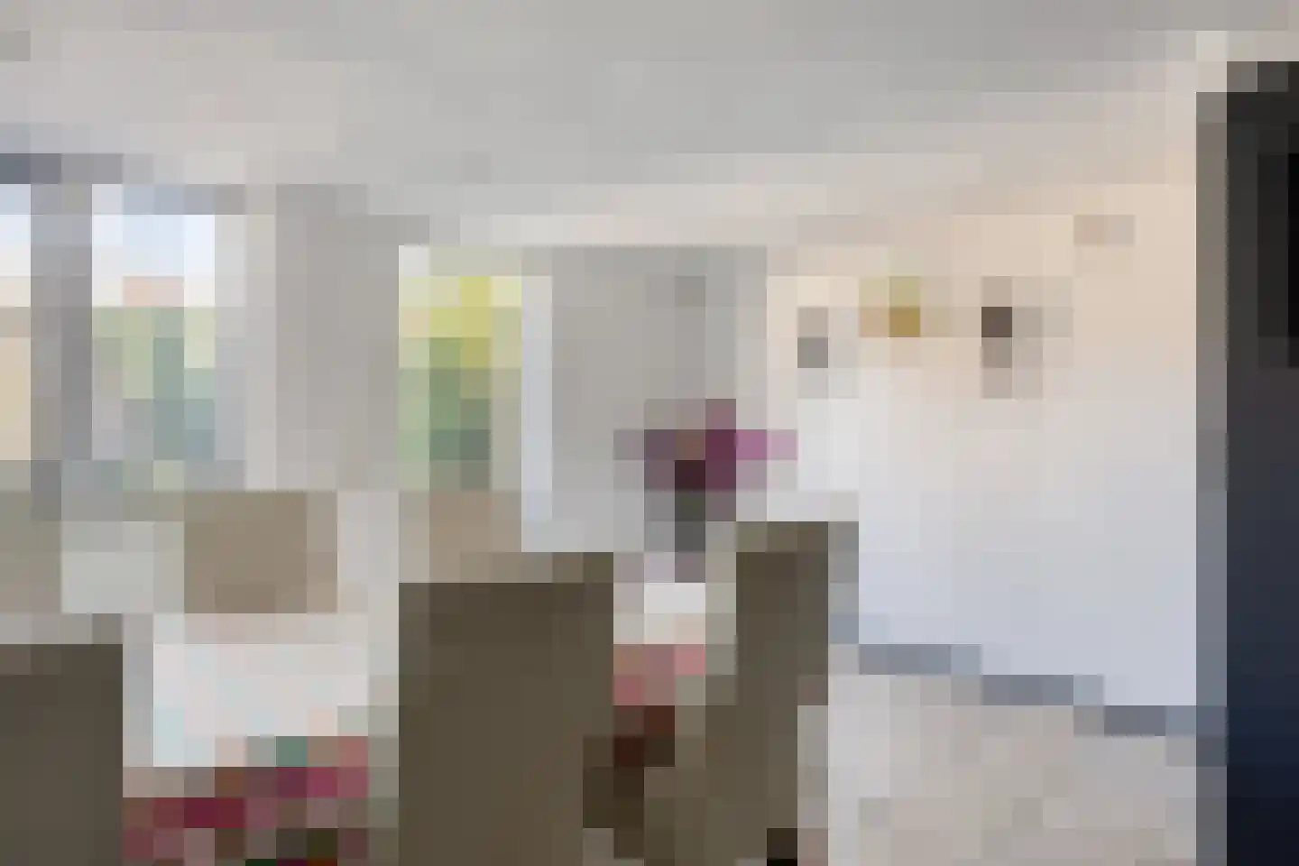 Da Costastraat 12 Tilburg thumbnail 17