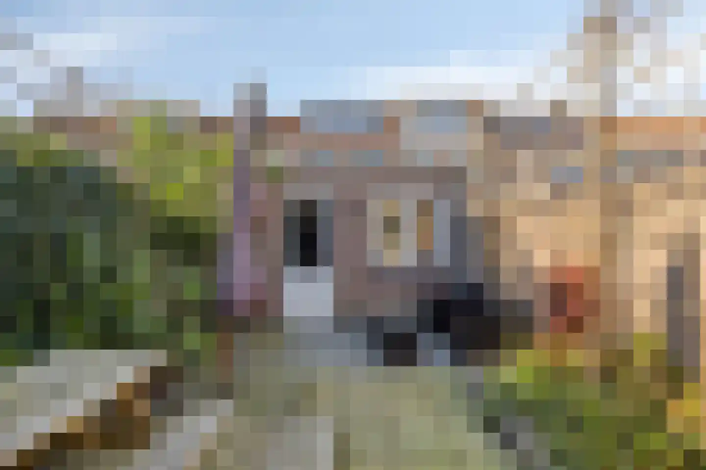 Da Costastraat 12 Tilburg thumbnail 30