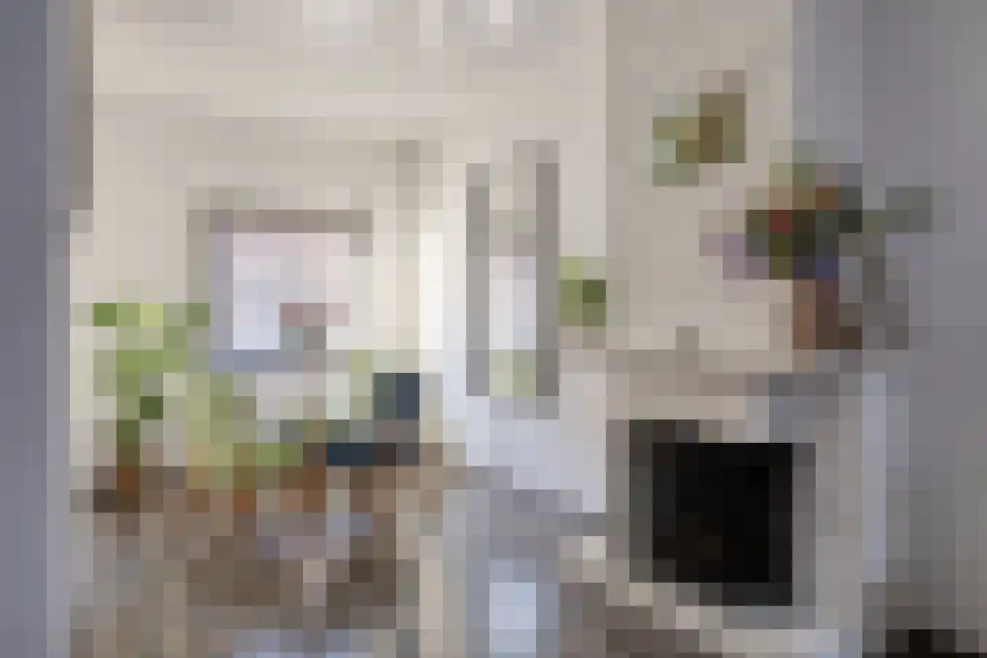 Da Costastraat 12 Tilburg thumbnail 8