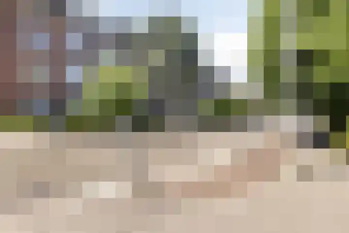 Da Costastraat 124 Rotterdam thumbnail 29