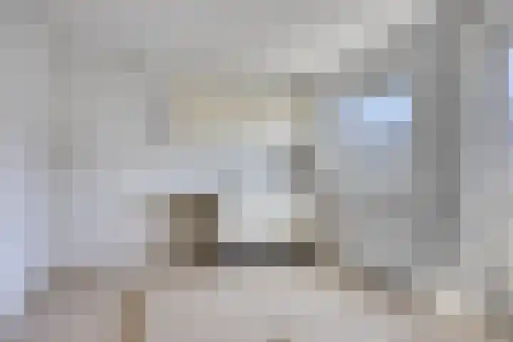 Da Costastraat 124 Rotterdam thumbnail 7
