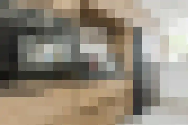 Da Costastraat 17 Bunschoten-Spakenburg thumbnail 8