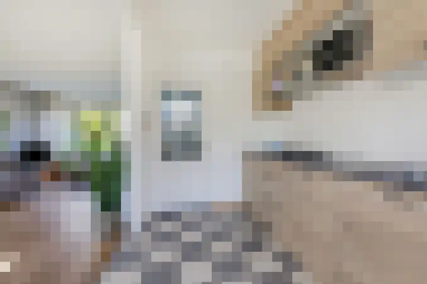 Da Costastraat 18 Zevenaar thumbnail 15