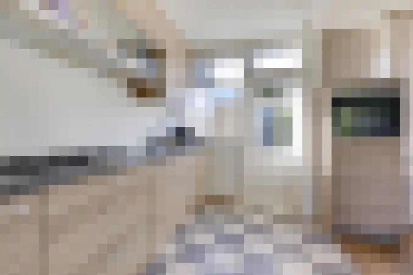 Da Costastraat 18 Zevenaar thumbnail 16