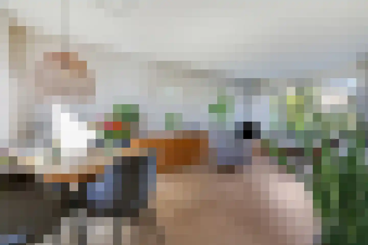 Da Costastraat 18 Zevenaar thumbnail 18