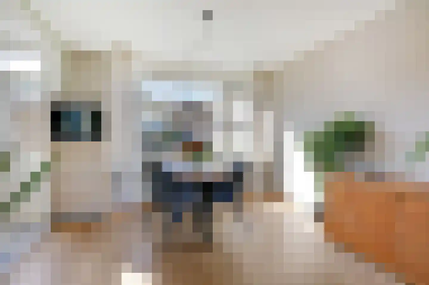 Da Costastraat 18 Zevenaar thumbnail 23