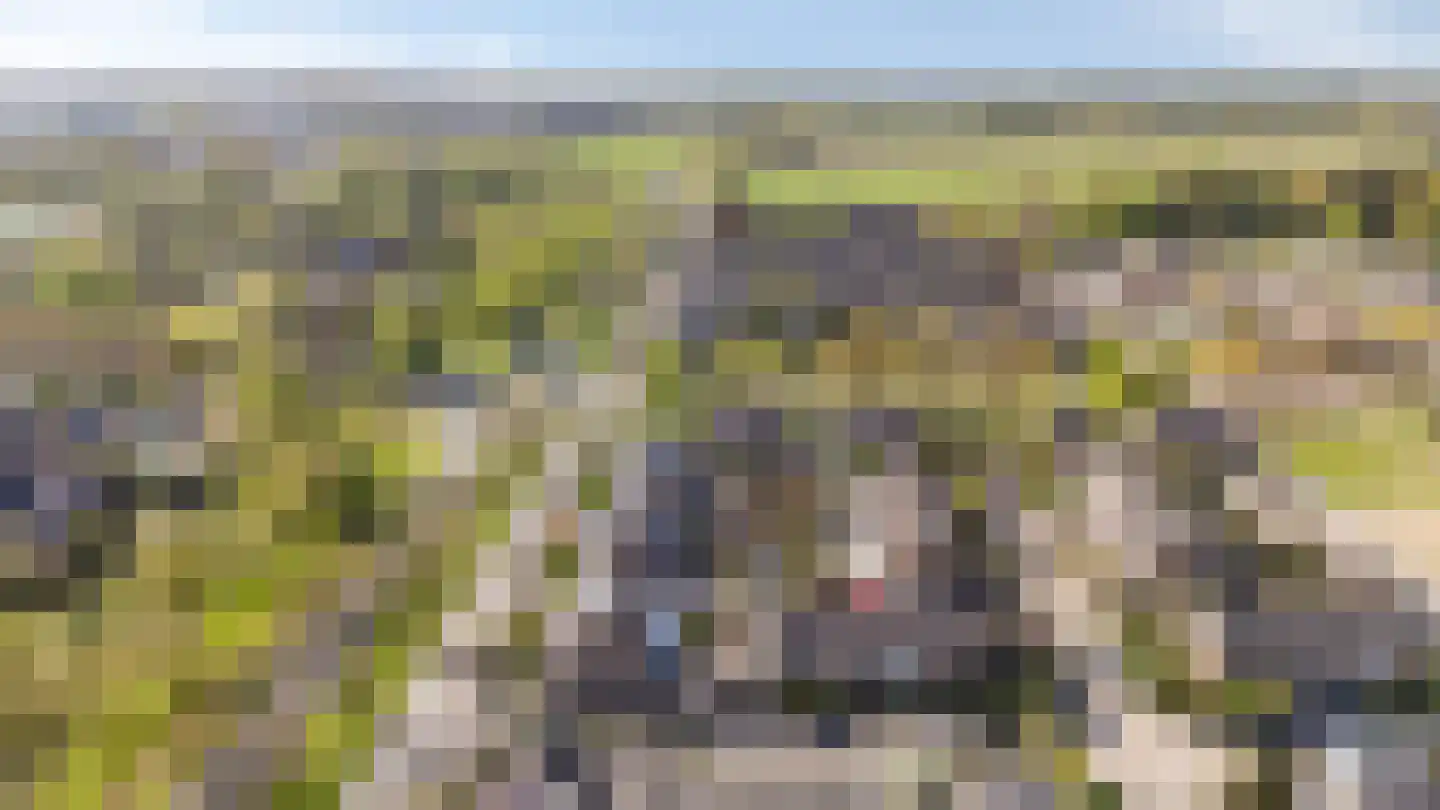 Da Costastraat 18 Zevenaar thumbnail 7