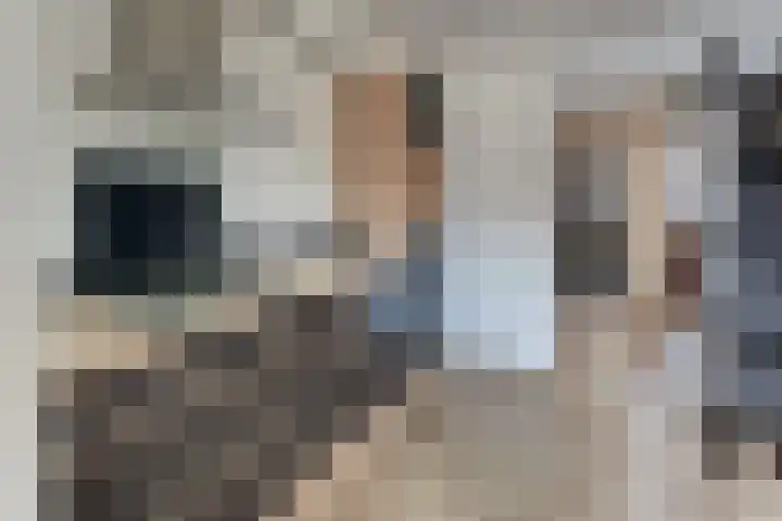Da Costastraat 19 Harderwijk thumbnail 24