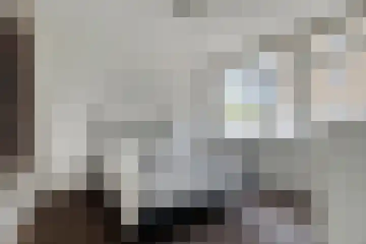 da Costastraat 19 Zoetermeer thumbnail 16