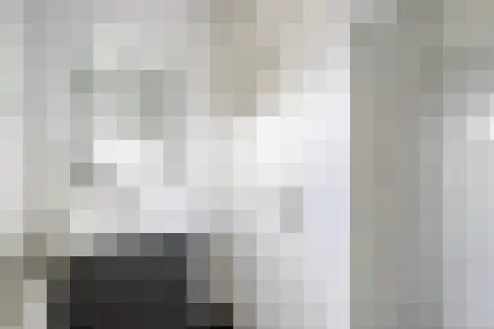 da Costastraat 19 Zoetermeer thumbnail 19