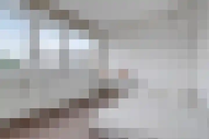 da Costastraat 19 Zoetermeer thumbnail 21