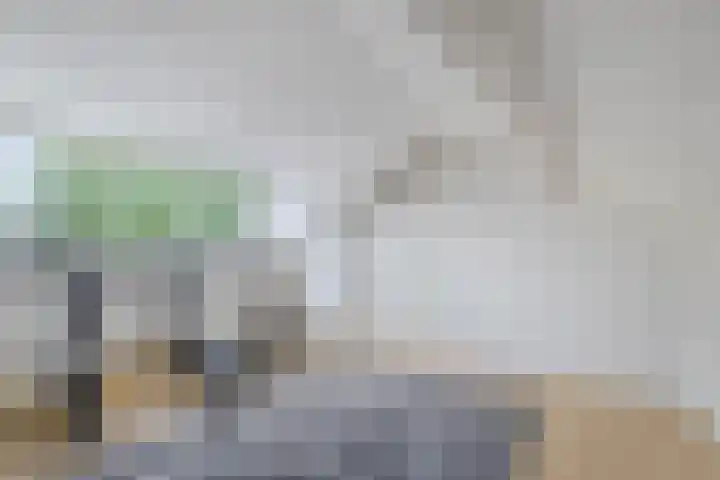 da Costastraat 19 Zoetermeer thumbnail 27