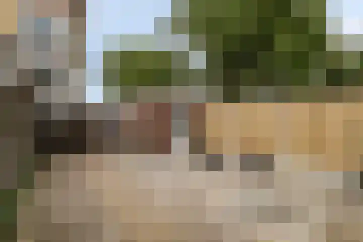 da Costastraat 19 Zoetermeer thumbnail 30