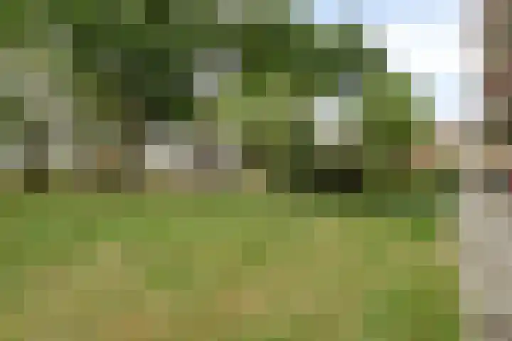 da Costastraat 19 Zoetermeer thumbnail 32