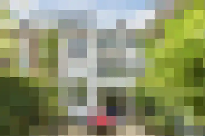Da Costastraat 22 Schiedam thumbnail 5
