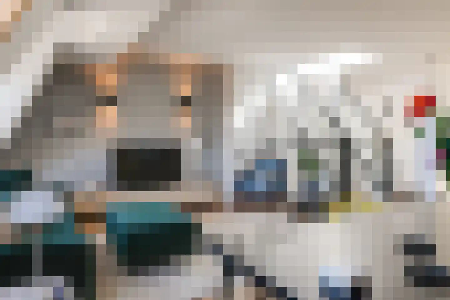 Da Costastraat 23 4 Amsterdam thumbnail 15