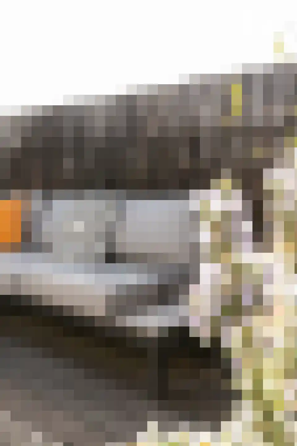 Da Costastraat 23 4 Amsterdam thumbnail 33