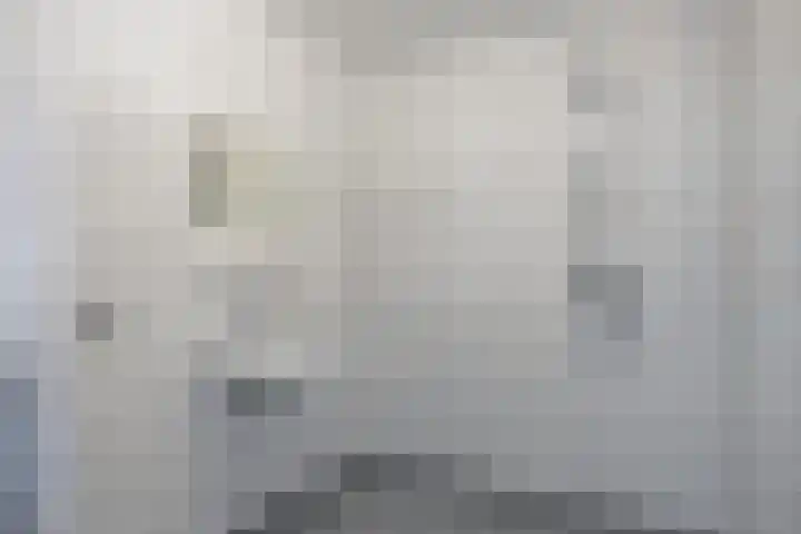 Da Costastraat 241 Rotterdam thumbnail 14