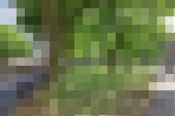 Da Costastraat 241 Rotterdam foto 3