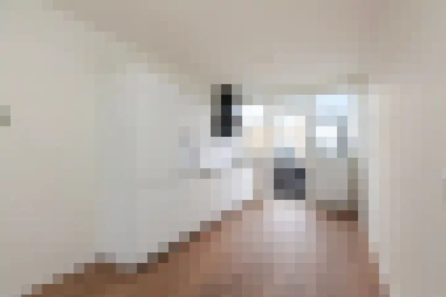Da Costastraat 26 Alblasserdam thumbnail 16