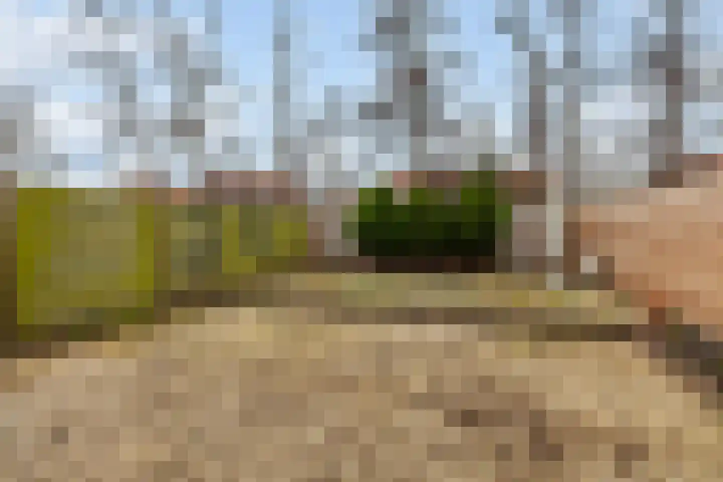 Da Costastraat 26 Alblasserdam thumbnail 32