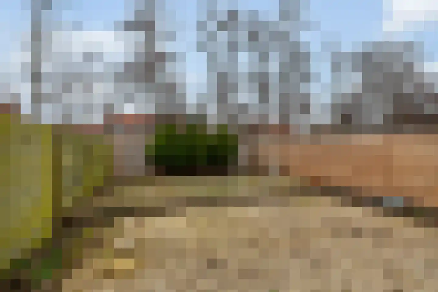 Da Costastraat 26 Alblasserdam thumbnail 34