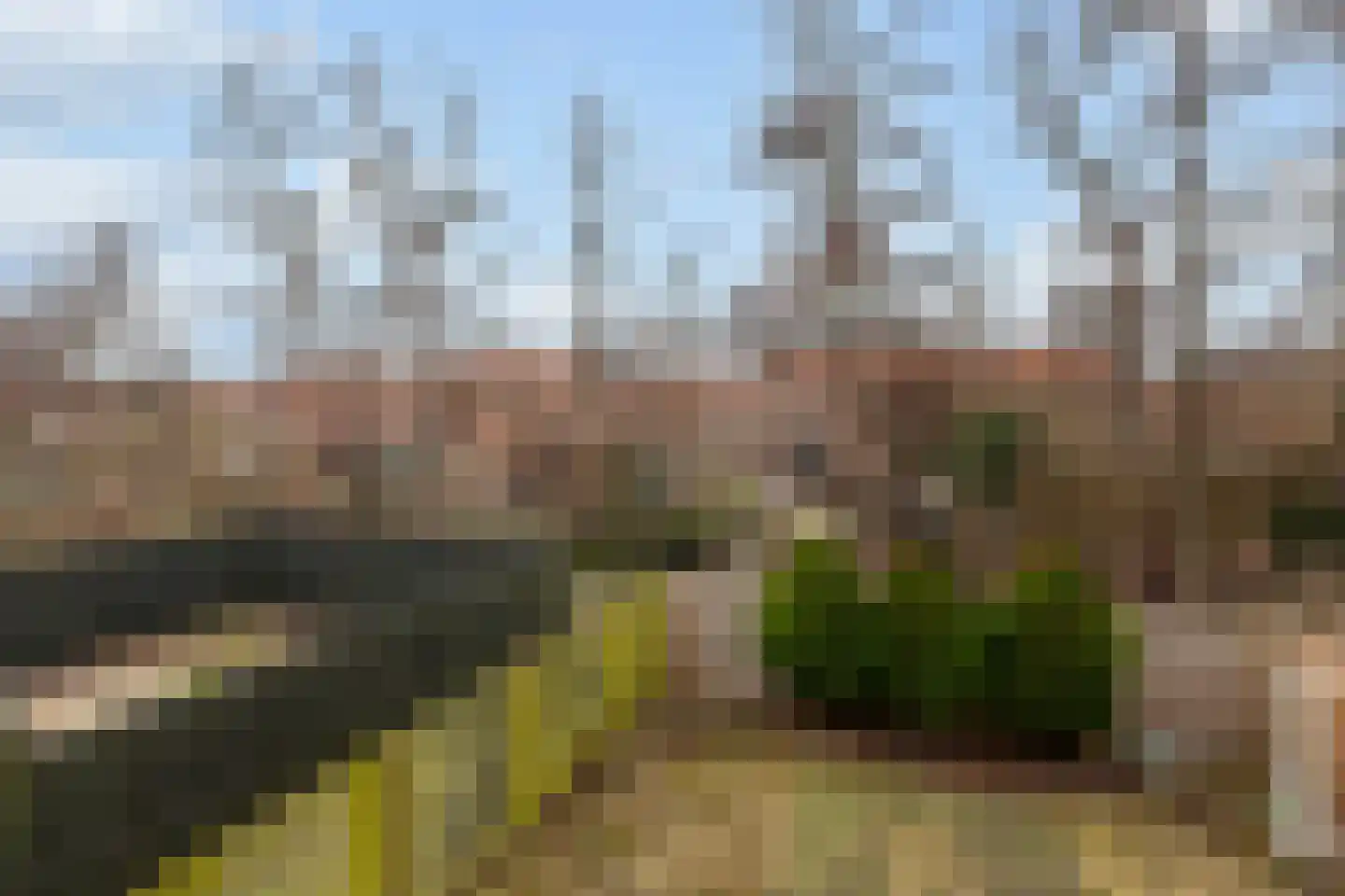 Da Costastraat 26 Alblasserdam thumbnail 35