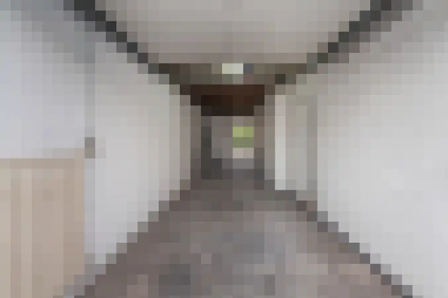 Da Costastraat 26 Alblasserdam thumbnail 7