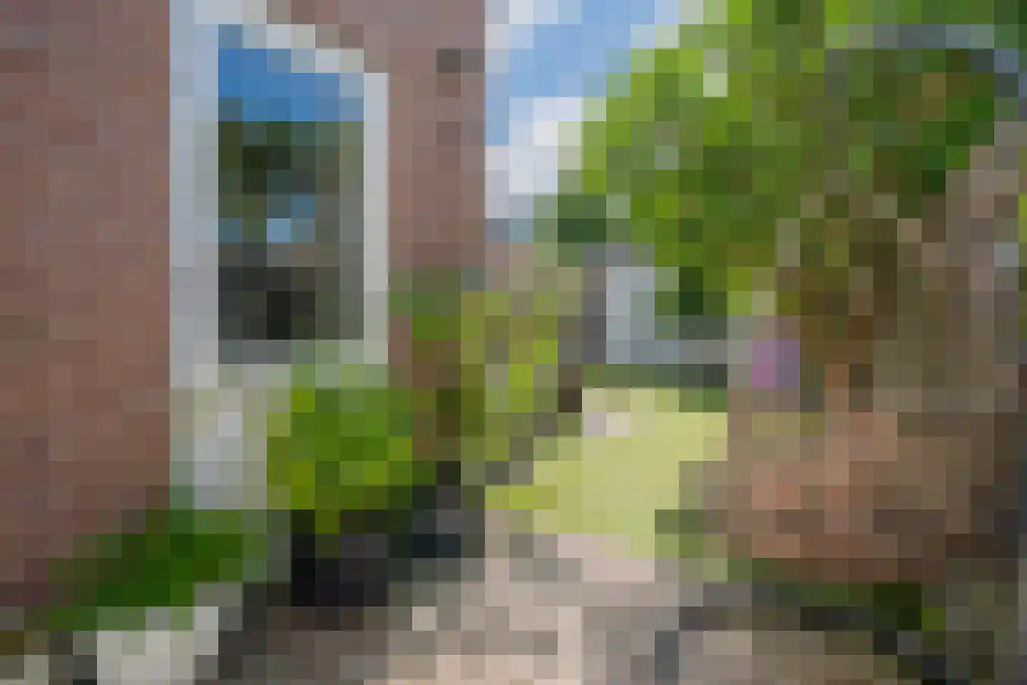 Da Costastraat 27 Haarlem thumbnail 38