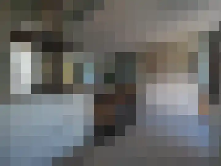 Da Costastraat 28 Papendrecht thumbnail 22
