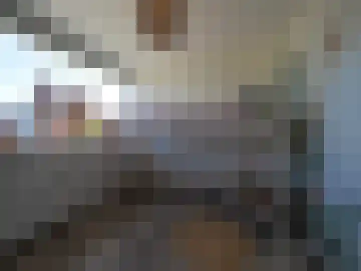 Da Costastraat 28 Papendrecht thumbnail 32