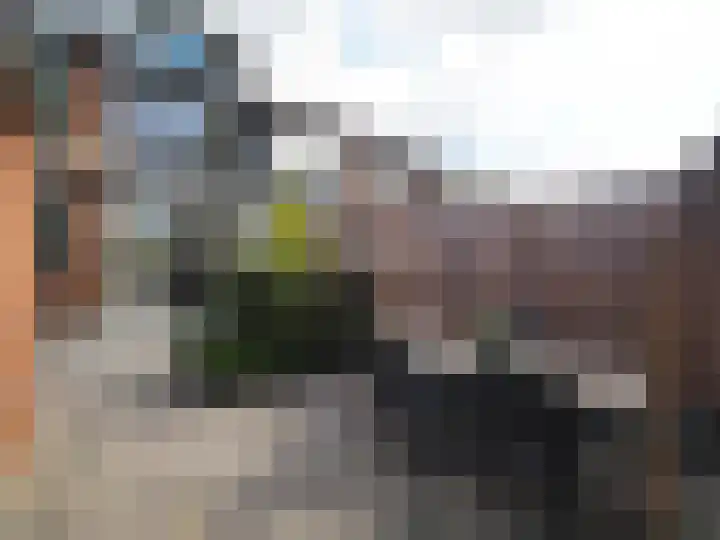 Da Costastraat 28 Papendrecht thumbnail 51