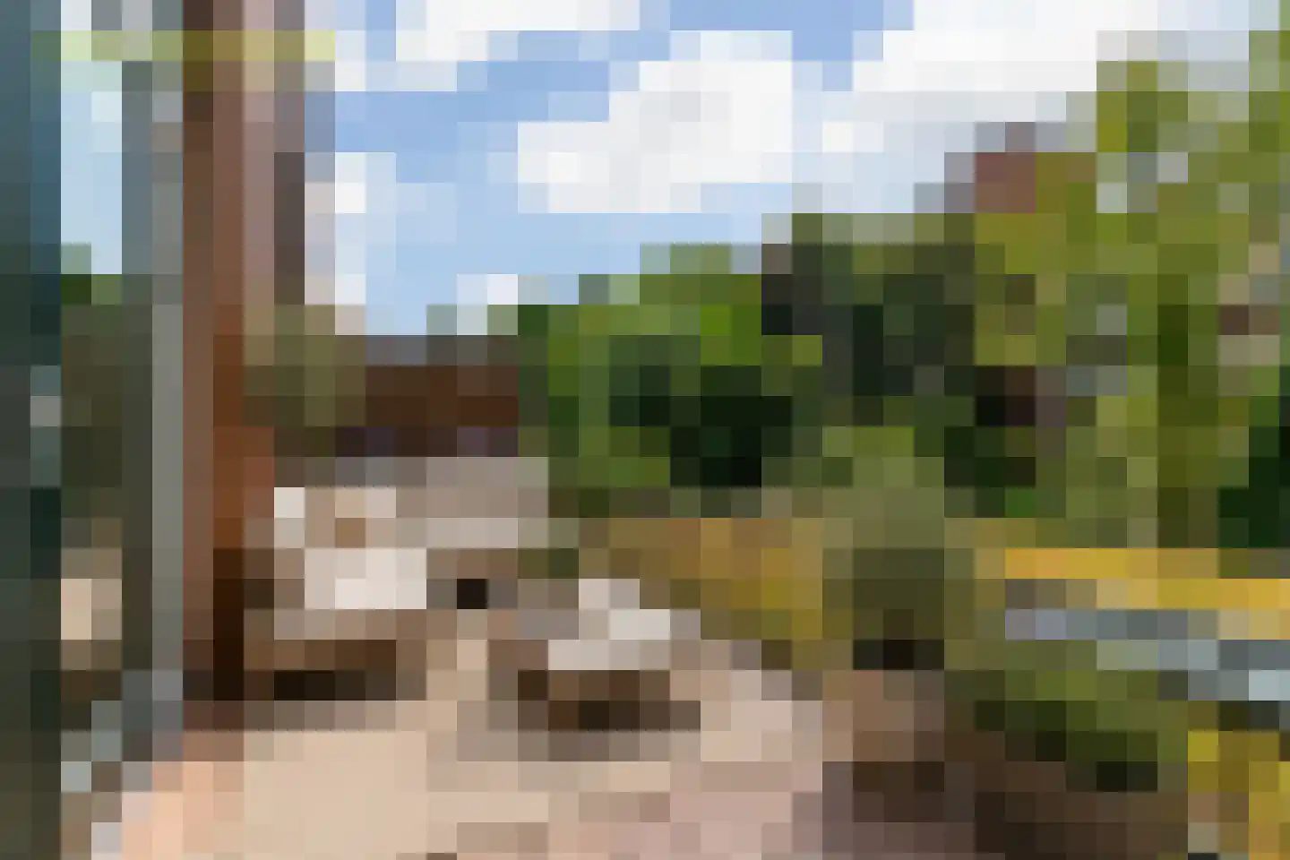 Da Costastraat 3 A Leiden thumbnail 30