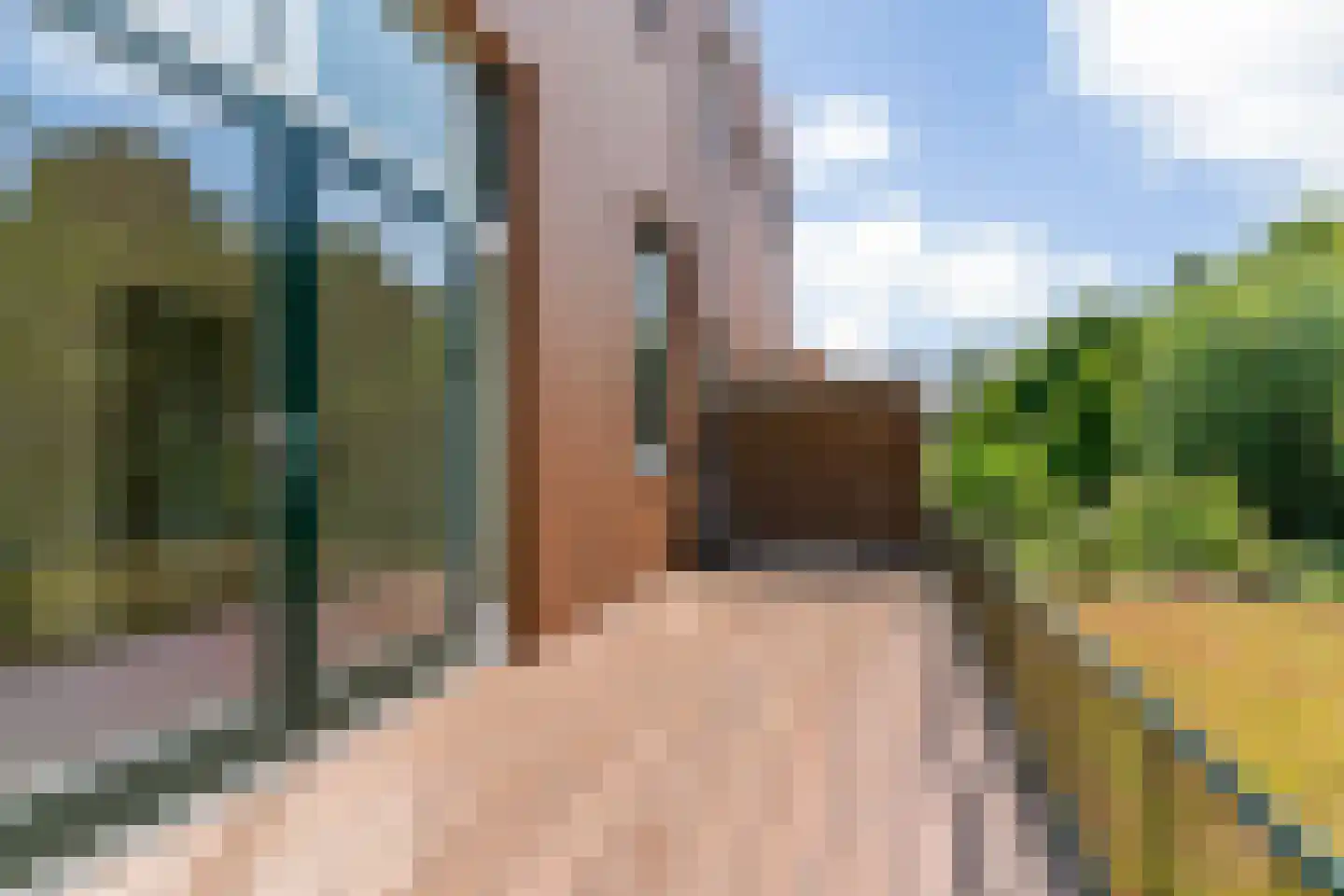 Da Costastraat 3 A Leiden thumbnail 32