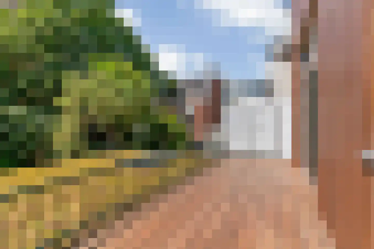 Da Costastraat 3 A Leiden thumbnail 33