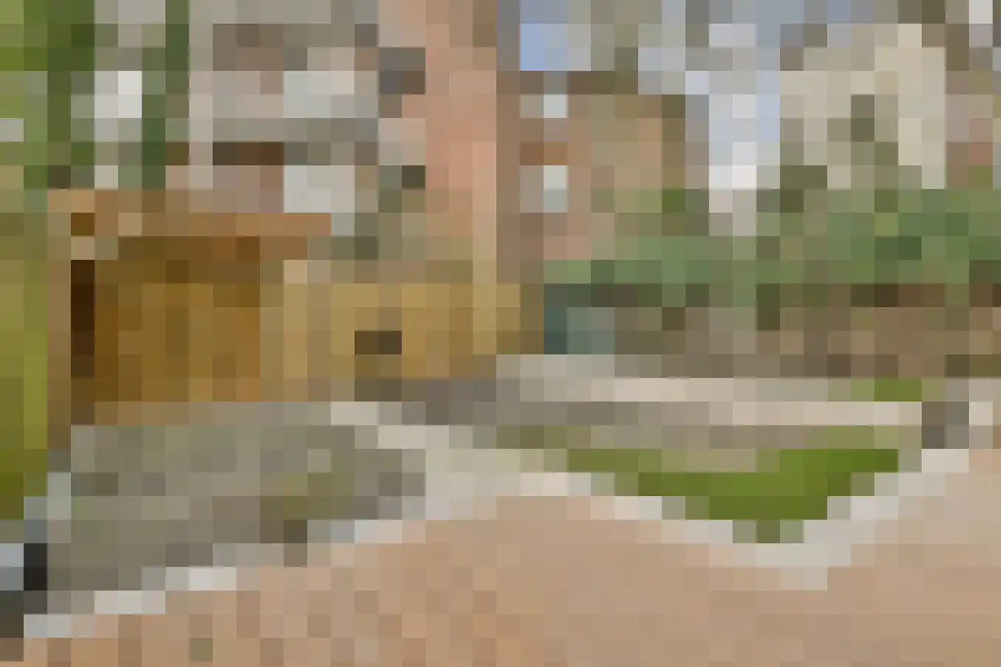 Da Costastraat 3 Leiden thumbnail 11