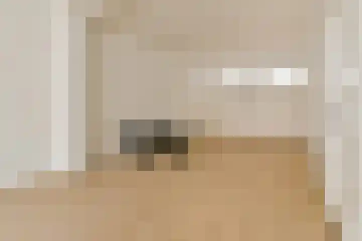 Da Costastraat 3 Leiden thumbnail 5