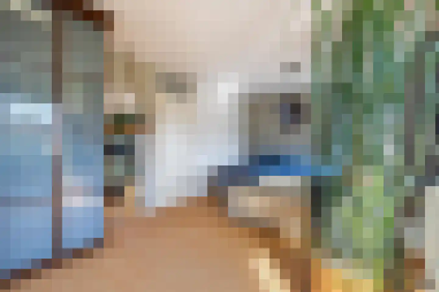 Da Costastraat 30 Oosterhout thumbnail 33