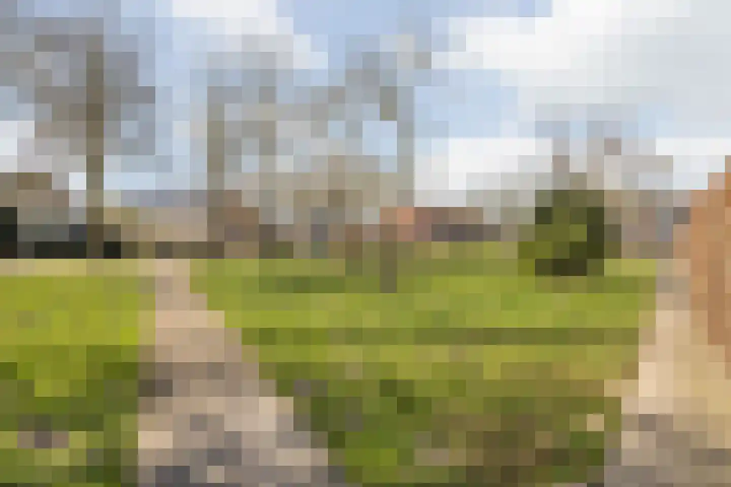 Da Costastraat 30 Oosterhout thumbnail 56