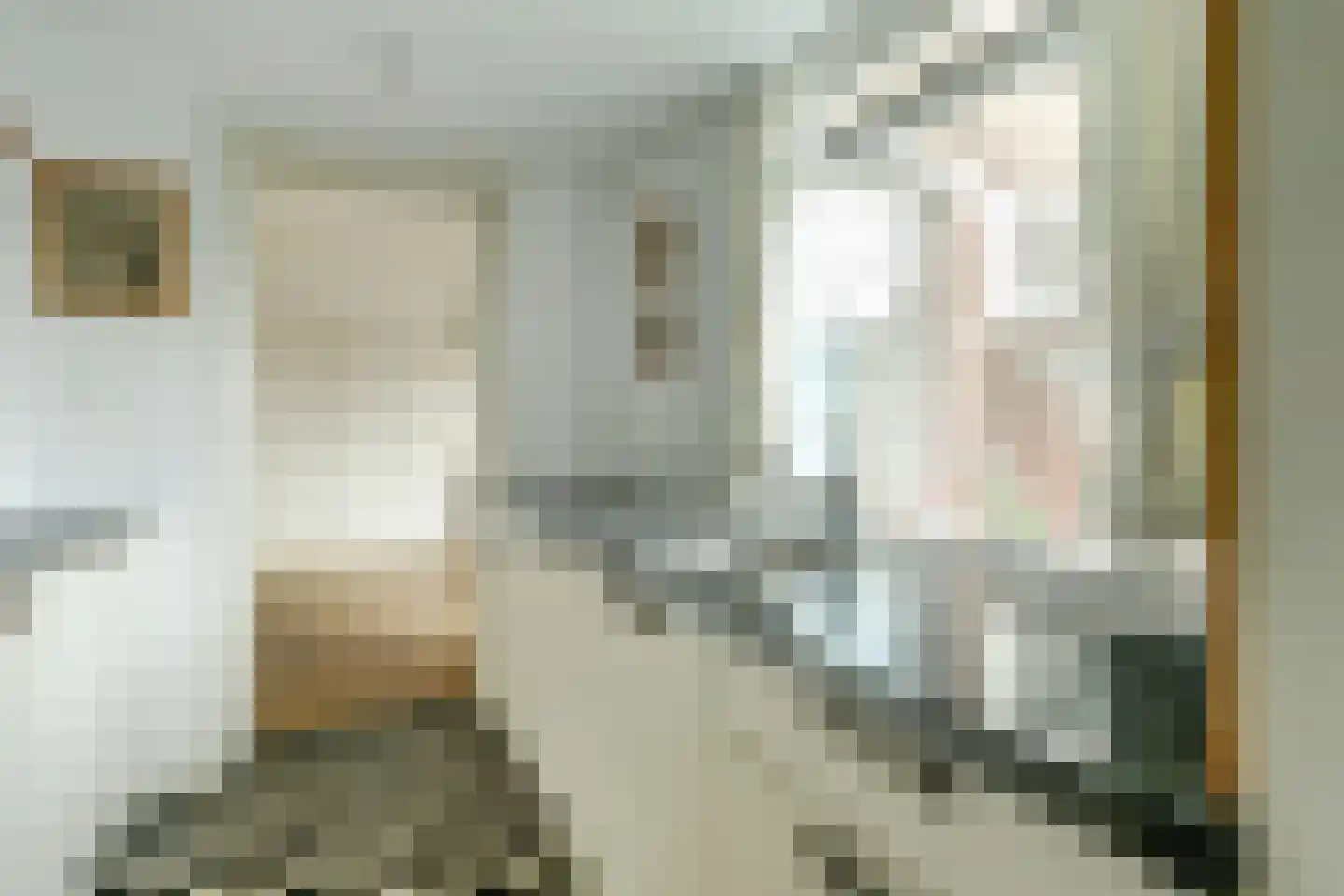 Da Costastraat 30 Tilburg thumbnail 10
