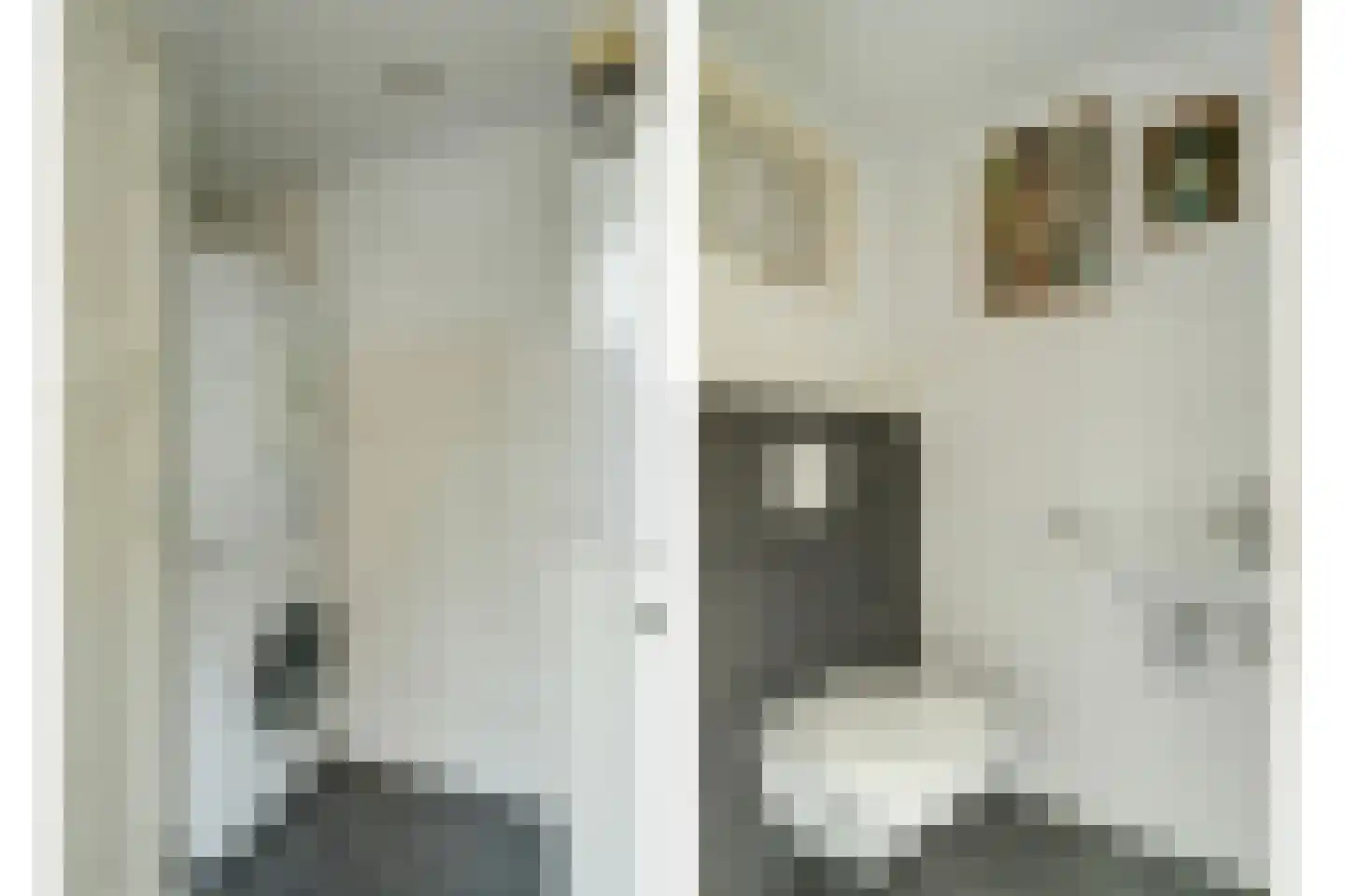 Da Costastraat 30 Tilburg thumbnail 11