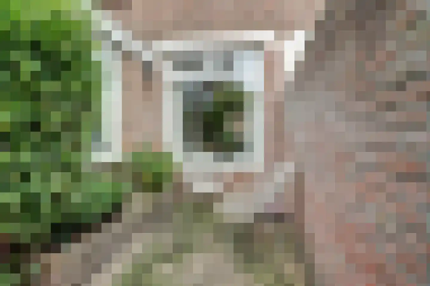 Da Costastraat 30 Tilburg thumbnail 25