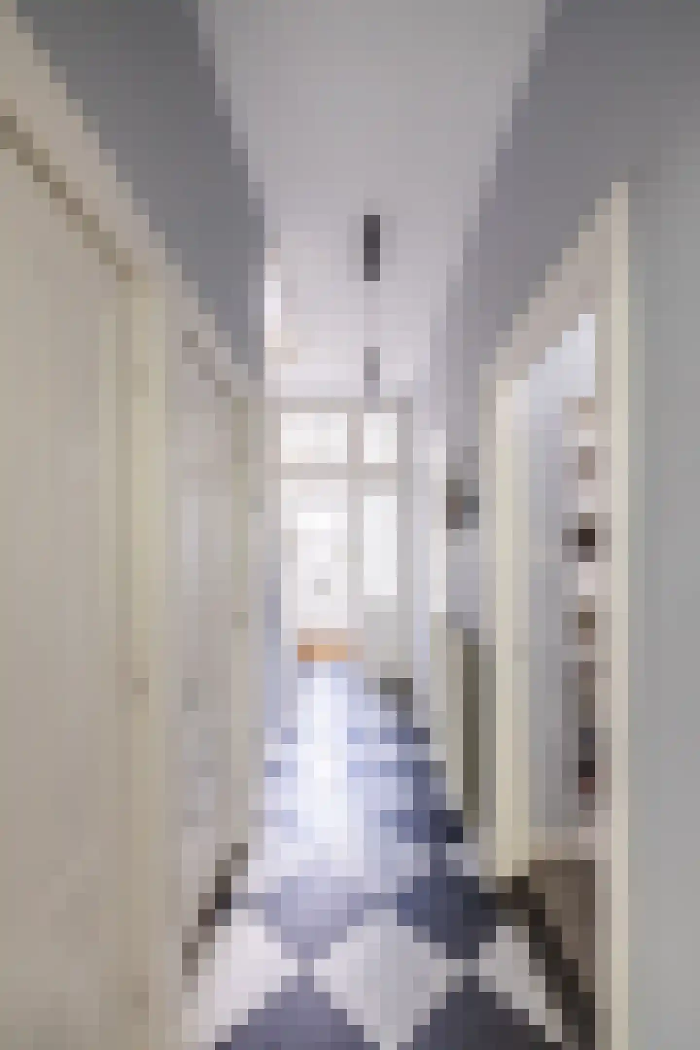 Da Costastraat 31 Leiden thumbnail 37