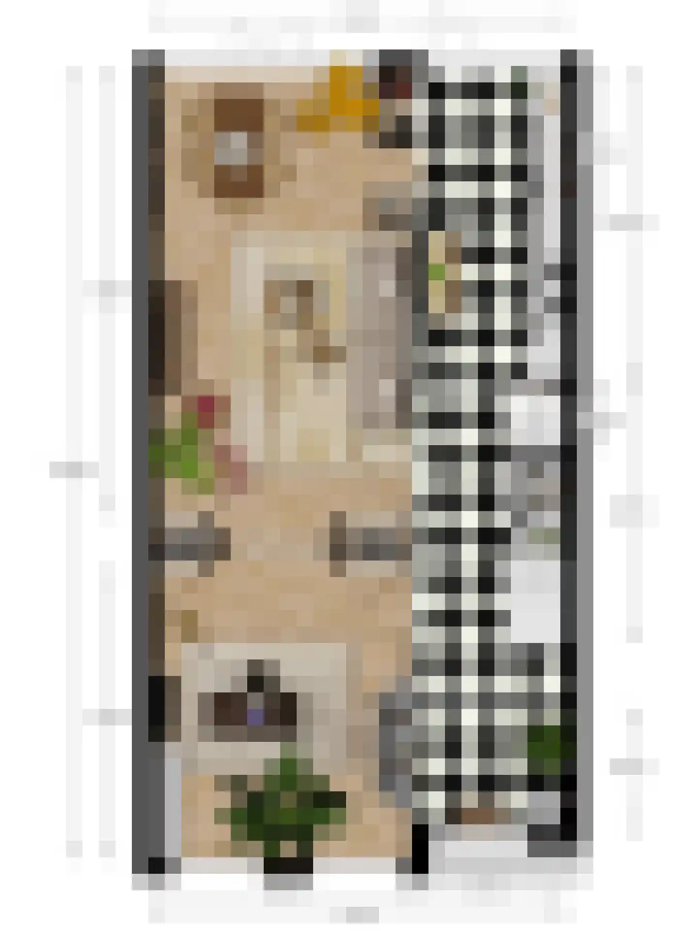 Da Costastraat 31 Leiden thumbnail 64