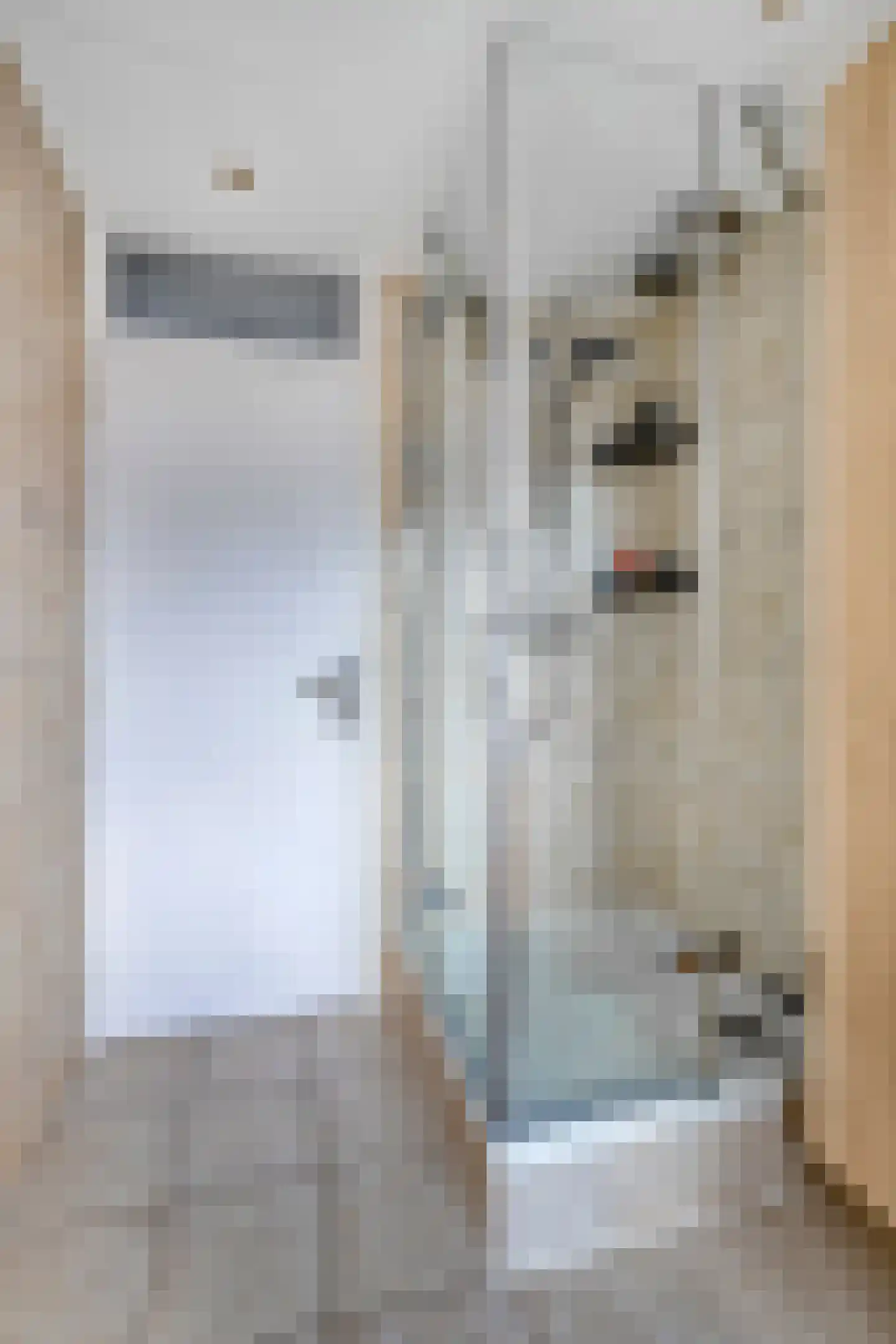 Da Costastraat 32 Lekkerkerk thumbnail 15
