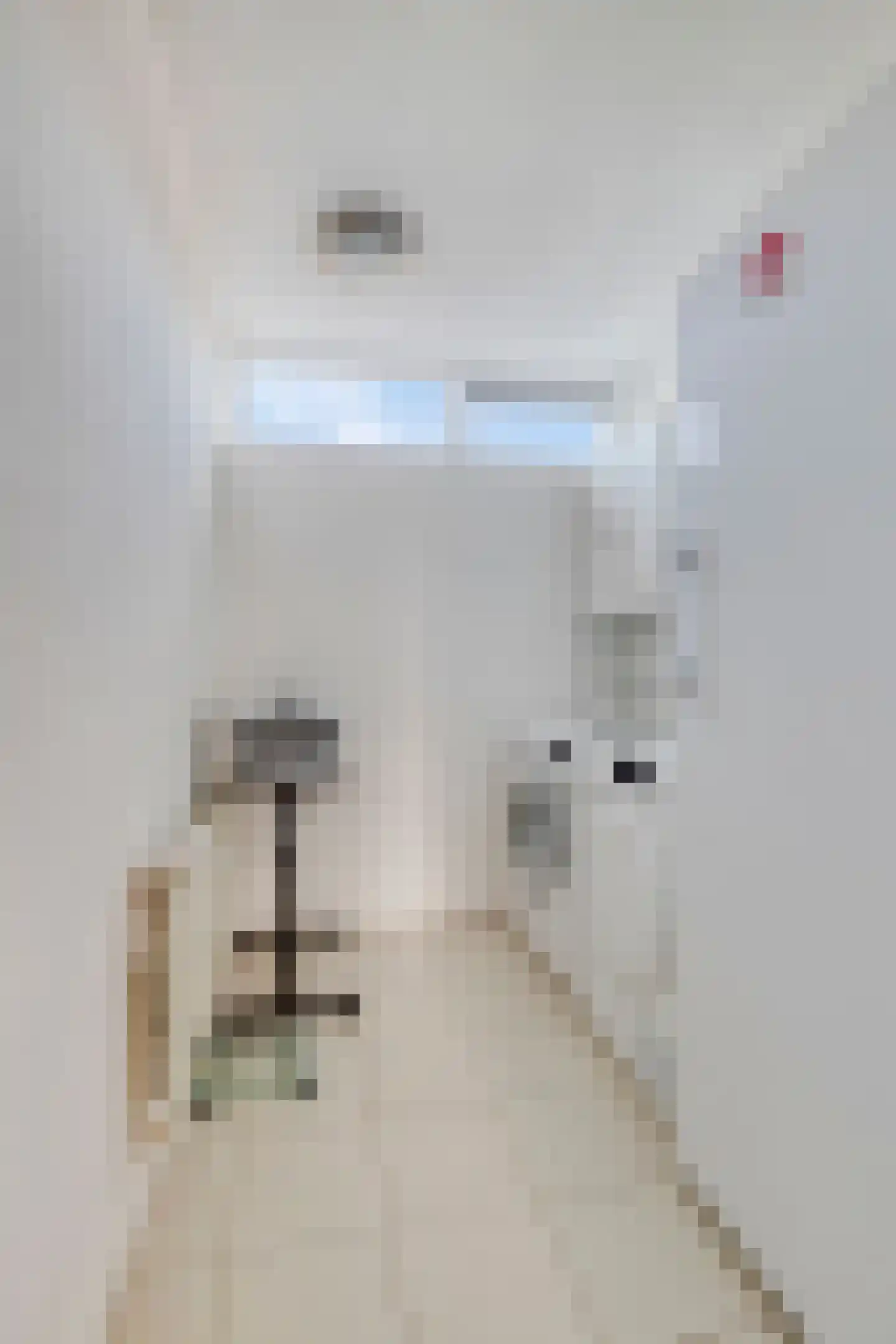Da Costastraat 32 Lekkerkerk thumbnail 18