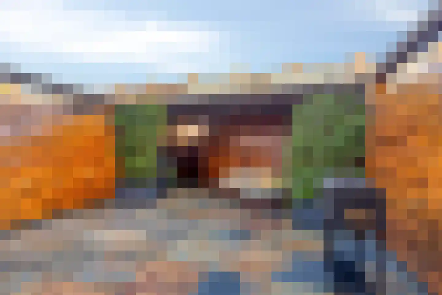 Da Costastraat 32 Lekkerkerk thumbnail 22