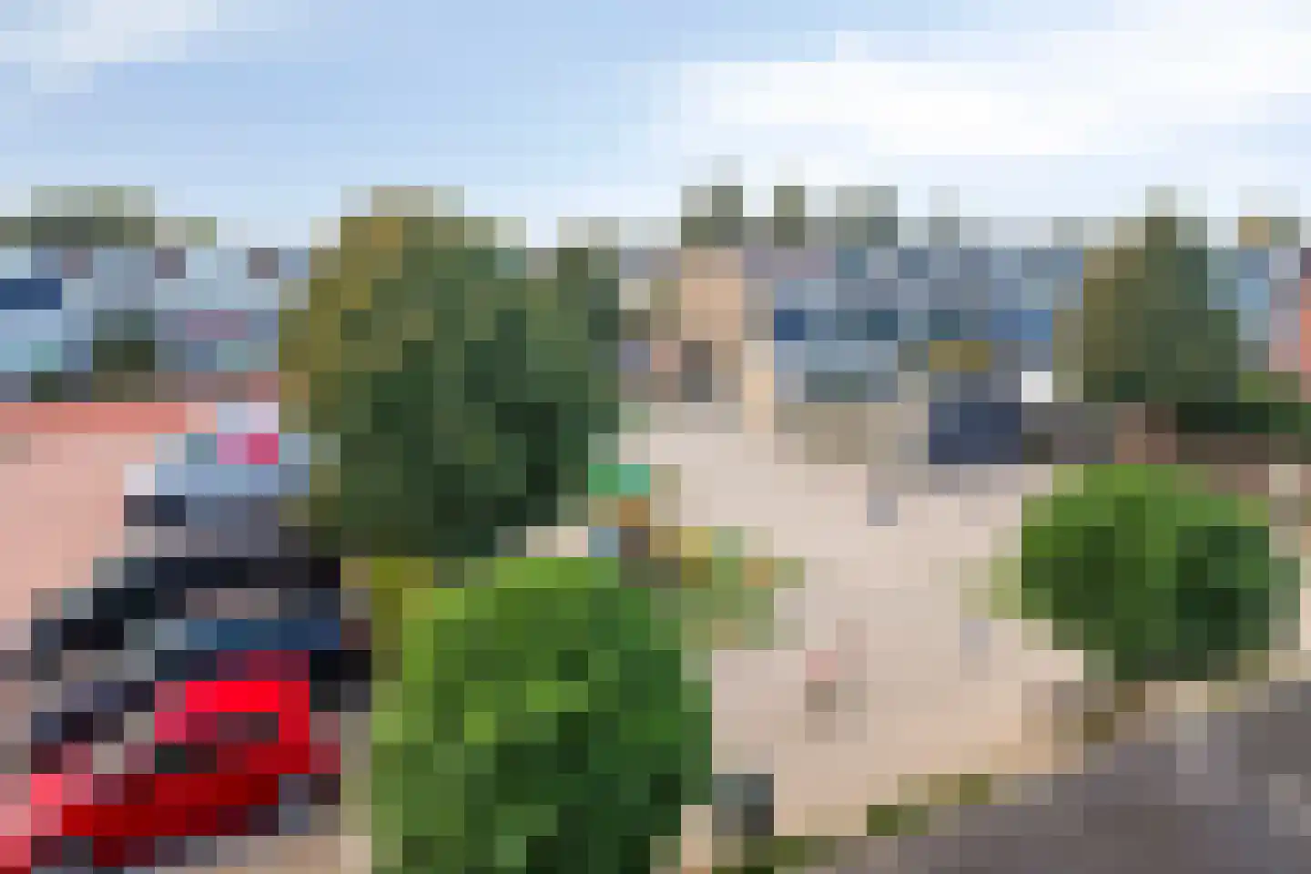 Da Costastraat 32 Lekkerkerk thumbnail 25