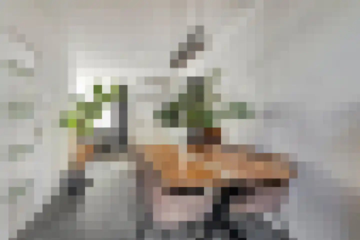 Da Costastraat 32 Lekkerkerk thumbnail 9